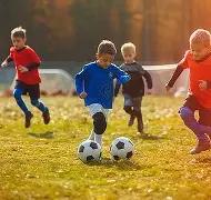 女子世界杯,冠军奖杯详,爱游戏app,爱游戏app,爱游戏官网,爱游戏体育官网,爱游戏体育app